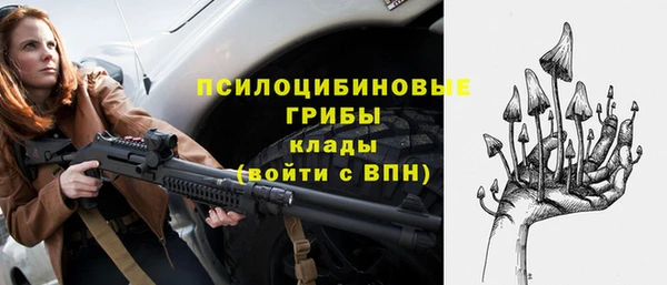 бошки Пересвет