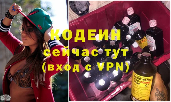 бошки Пересвет