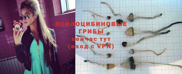 МДПВ Пестово