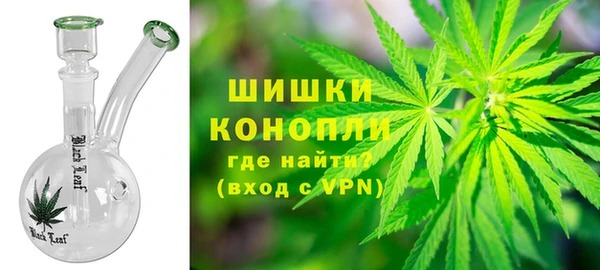 бошки Пересвет